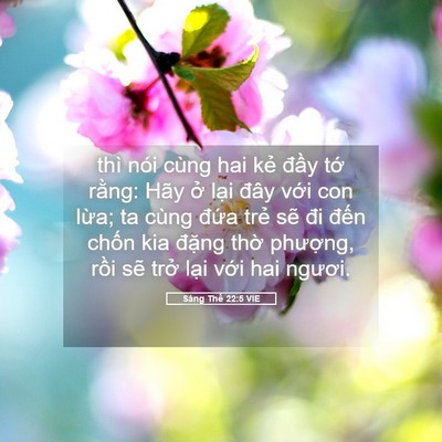 Picture 05 - Sáng Thế 22:5 VIE - thì nói cùng hai kẻ đầy tớ rằng: Hãy - Bible Verse Picture