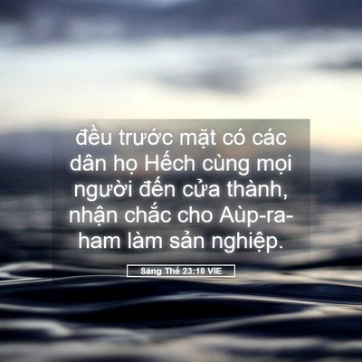 Picture 05 - Sáng Thế 23:18 VIE - đều trước mặt có các dân họ Hếch - Bible Verse Picture