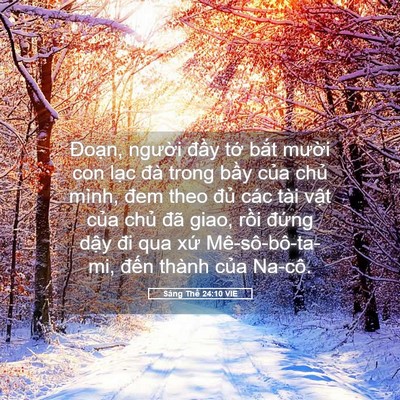 Picture 05 - Sáng Thế 24:10 VIE - Đoạn, người đầy tớ bắt mười con - Bible Verse Picture