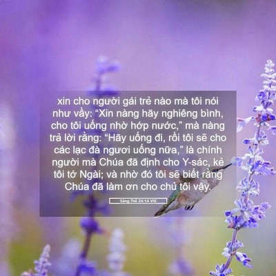 Picture 05 - Sáng Thế 24:14 VIE - xin cho người gái trẻ nào mà tôi nói - Bible Verse Picture