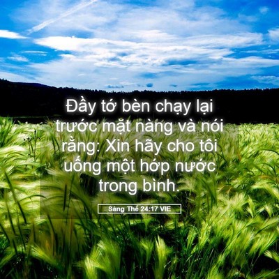 Picture 05 - Sáng Thế 24:17 VIE - Đầy tớ bèn chạy lại trước mặt - Bible Verse Picture