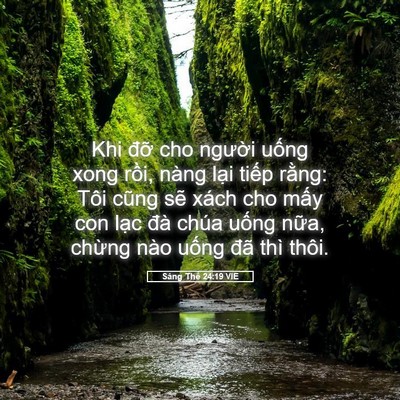 Picture 05 - Sáng Thế 24:19 VIE - Khi đỡ cho người uống xong rồi, nàng - Bible Verse Picture