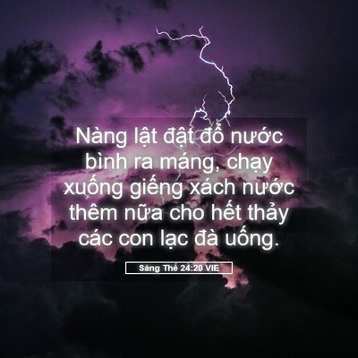 Picture 05 - Sáng Thế 24:20 VIE - Nàng lật đật đổ nước bình ra máng, - Bible Verse Picture