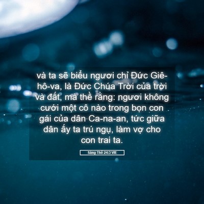 Picture 05 - Sáng Thế 24:3 VIE - và ta sẽ biểu ngươi chỉ Đức - Bible Verse Picture