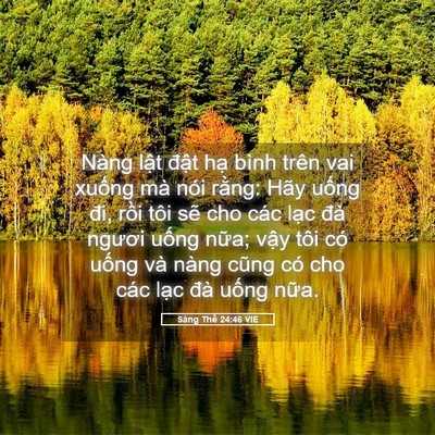 Picture 05 - Sáng Thế 24:46 VIE - Nàng lật đật hạ bình trên vai xuống - Bible Verse Picture