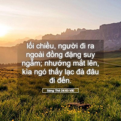 Picture 05 - Sáng Thế 24:63 VIE - lối chiều, người đi ra ngoài đồng - Bible Verse Picture