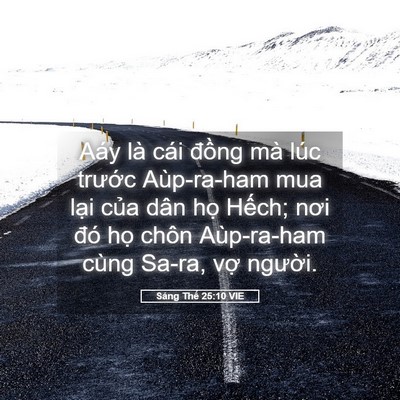 Picture 05 - Sáng Thế 25:10 VIE - Aáy là cái đồng mà lúc trước - Bible Verse Picture