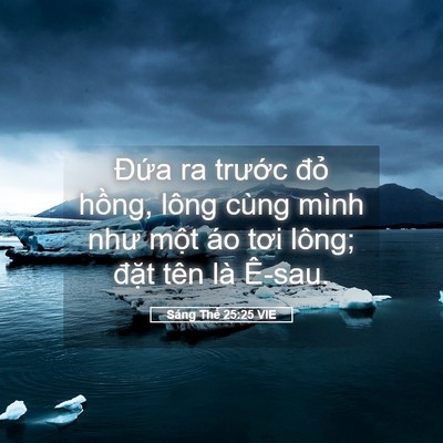 Picture 05 - Sáng Thế 25:25 VIE - Đứa ra trước đỏ hồng, lông cùng - Bible Verse Picture