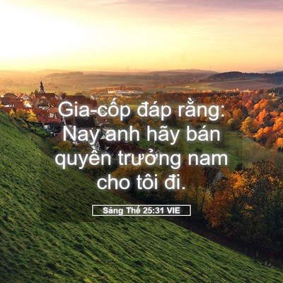 Picture 05 - Sáng Thế 25:31 VIE - Gia-cốp đáp rằng: Nay anh hãy bán quyền - Bible Verse Picture