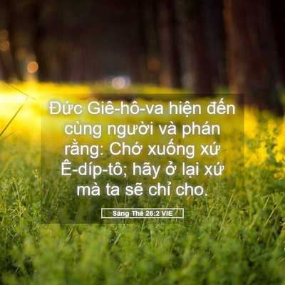 Picture 05 - Sáng Thế 26:2 VIE - Đức Giê-hô-va hiện đến cùng người - Bible Verse Picture