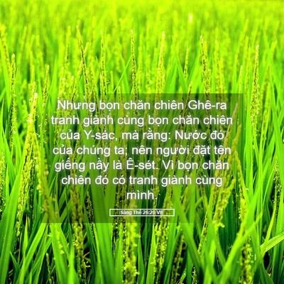 Picture 05 - Sáng Thế 26:20 VIE - Nhưng bọn chăn chiên Ghê-ra tranh giành - Bible Verse Picture