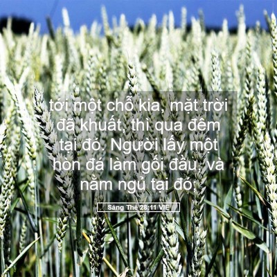 Picture 05 - Sáng Thế 28:11 VIE - tới một chỗ kia, mặt trời đã khuất, - Bible Verse Picture