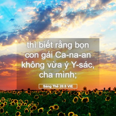 Picture 05 - Sáng Thế 28:8 VIE - thì biết rằng bọn con gái Ca-na-an không - Bible Verse Picture