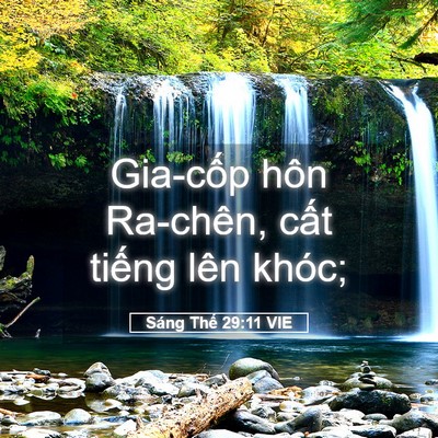 Picture 05 - Sáng Thế 29:11 VIE - Gia-cốp hôn Ra-chên, cất tiếng lên - Bible Verse Picture