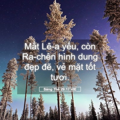 Picture 05 - Sáng Thế 29:17 VIE - Mắt Lê-a yếu, còn Ra-chên hình dung - Bible Verse Picture