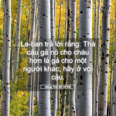 Picture 05 - Sáng Thế 29:19 VIE - La-ban trả lời rằng: Thà cậu gả nó - Bible Verse Picture