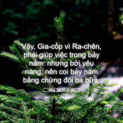 Picture 05 - Sáng Thế 29:20 VIE - Vậy, Gia-cốp vì Ra-chên, phải giúp - Bible Verse Picture