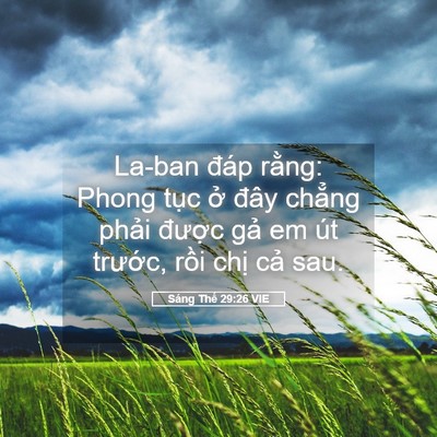 Picture 05 - Sáng Thế 29:26 VIE - La-ban đáp rằng: Phong tục ở đây - Bible Verse Picture