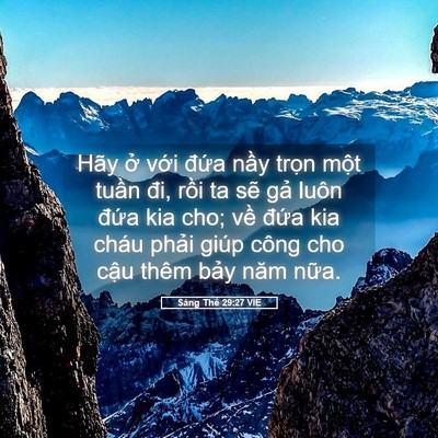 Picture 05 - Sáng Thế 29:27 VIE - Hãy ở với đứa nầy trọn một tuần - Bible Verse Picture
