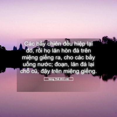 Picture 05 - Sáng Thế 29:3 VIE - Các bầy chiên đều hiệp lại đó, rồi - Bible Verse Picture