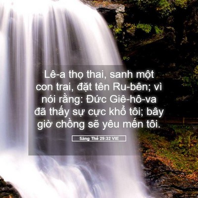 Picture 05 - Sáng Thế 29:32 VIE - Lê-a thọ thai, sanh một con trai, đặt - Bible Verse Picture