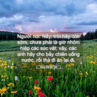 Picture 05 - Sáng Thế 29:7 VIE - Người nói: Nầy, trời hãy còn sớm, - Bible Verse Picture