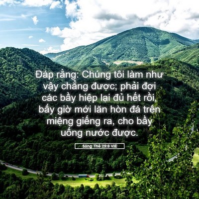 Picture 05 - Sáng Thế 29:8 VIE - Đáp rằng: Chúng tôi làm như vậy chẳng - Bible Verse Picture