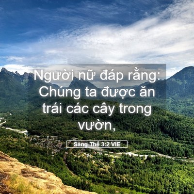Picture 05 - Sáng Thế 3:2 VIE - Người nữ đáp rằng: Chúng ta được - Bible Verse Picture