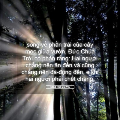 Picture 05 - Sáng Thế 3:3 VIE - song về phần trái của cây mọc giữa - Bible Verse Picture