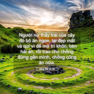 Picture 05 - Sáng Thế 3:6 VIE - Người nữ thấy trái của cây đó bộ - Bible Verse Picture