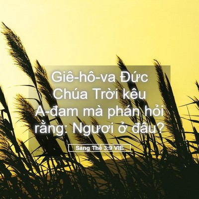 Picture 05 - Sáng Thế 3:9 VIE - Giê-hô-va Đức Chúa Trời kêu A-đam mà - Bible Verse Picture