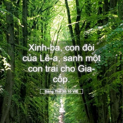 Picture 05 - Sáng Thế 30:10 VIE - Xinh-ba, con đòi của Lê-a, sanh một con - Bible Verse Picture