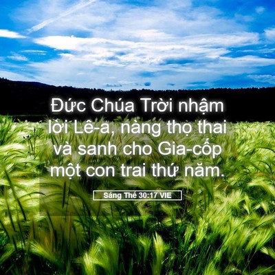 Picture 05 - Sáng Thế 30:17 VIE - Đức Chúa Trời nhậm lời Lê-a, nàng - Bible Verse Picture