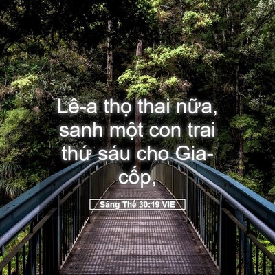 Picture 05 - Sáng Thế 30:19 VIE - Lê-a thọ thai nữa, sanh một con trai thứ - Bible Verse Picture