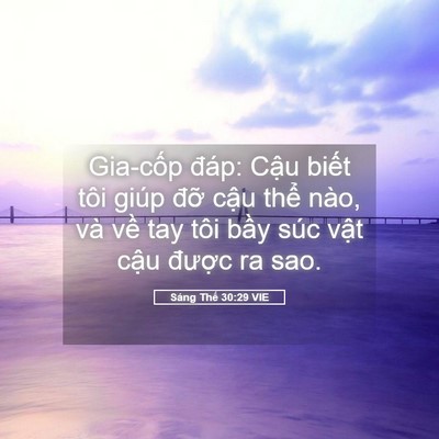 Picture 05 - Sáng Thế 30:29 VIE - Gia-cốp đáp: Cậu biết tôi giúp đỡ - Bible Verse Picture