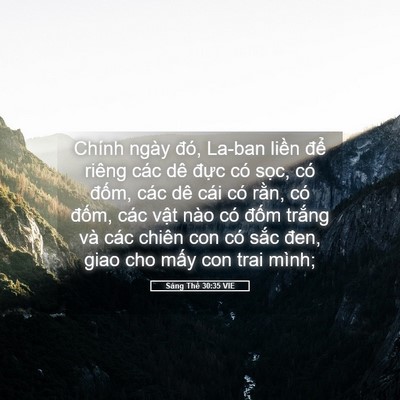 Picture 05 - Sáng Thế 30:35 VIE - Chính ngày đó, La-ban liền để riêng - Bible Verse Picture