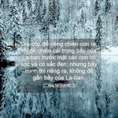 Picture 05 - Sáng Thế 30:40 VIE - Gia-cốp để riêng chiên con ra, rồi để - Bible Verse Picture