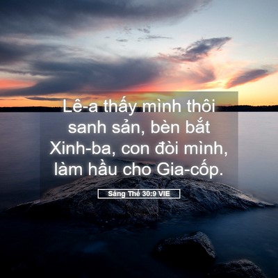 Picture 05 - Sáng Thế 30:9 VIE - Lê-a thấy mình thôi sanh sản, bèn bắt - Bible Verse Picture