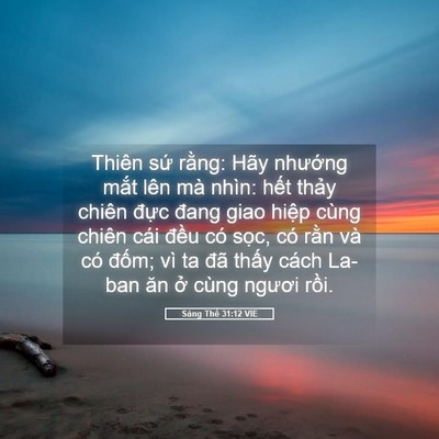 Picture 05 - Sáng Thế 31:12 VIE - Thiên sứ rằng: Hãy nhướng mắt lên mà - Bible Verse Picture