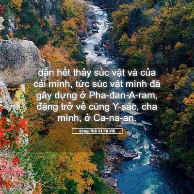 Picture 05 - Sáng Thế 31:18 VIE - dẫn hết thảy súc vật và của cải - Bible Verse Picture
