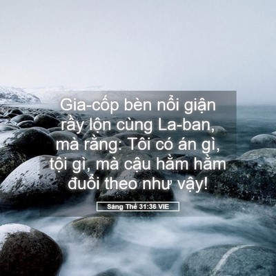 Picture 05 - Sáng Thế 31:36 VIE - Gia-cốp bèn nổi giận rầy lộn cùng - Bible Verse Picture