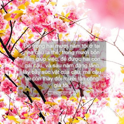 Picture 05 - Sáng Thế 31:41 VIE - Đó trong hai mươi năm tôi ở tại nhà - Bible Verse Picture