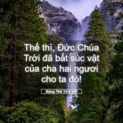 Picture 05 - Sáng Thế 31:9 VIE - Thế thì, Đức Chúa Trời đã bắt súc - Bible Verse Picture
