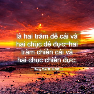 Picture 05 - Sáng Thế 32:14 VIE - là hai trăm dê cái và hai chục dê đực; - Bible Verse Picture