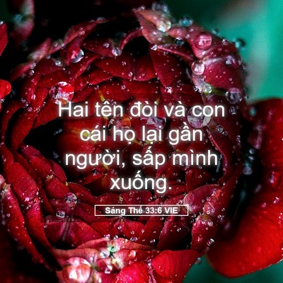 Picture 05 - Sáng Thế 33:6 VIE - Hai tên đòi và con cái họ lại gần - Bible Verse Picture