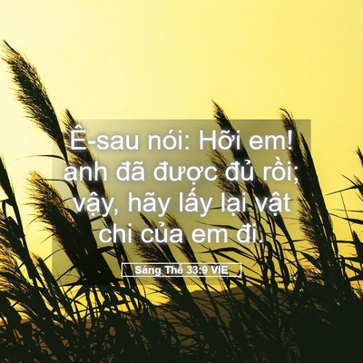 Picture 05 - Sáng Thế 33:9 VIE - Ê-sau nói: Hỡi em! anh đã được đủ - Bible Verse Picture