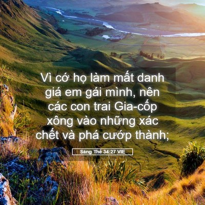 Picture 05 - Sáng Thế 34:27 VIE - Vì cớ họ làm mất danh giá em gái mình, - Bible Verse Picture