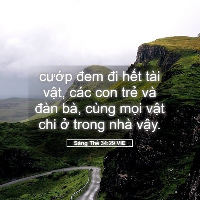 Picture 05 - Sáng Thế 34:29 VIE - cướp đem đi hết tài vật, các con trẻ - Bible Verse Picture