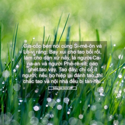 Picture 05 - Sáng Thế 34:30 VIE - Gia-cốp bèn nói cùng Si-mê-ôn và Lê-vi - Bible Verse Picture