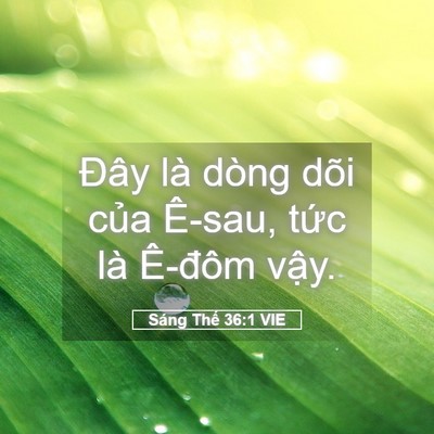 Picture 05 - Sáng Thế 36:1 VIE - Đây là dòng dõi của Ê-sau, tức là - Bible Verse Picture